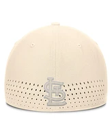 Nike Men's Cream St. Louis Cardinals Rise Performance Flex Hat