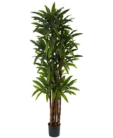 Nearly Natural 6.5' Artificial Dracaena Tree
