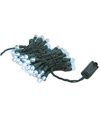 Lumabase 70 Cool White Plastic Globes Electric String Lights