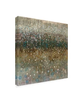 Danhui Nai Abstract Rain Canvas Art - 15.5" x 21"