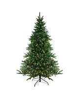 Northlight 9' Pre-Lit Led Instant Connect Noble Fir Artificial Christmas Tree - Dual Lights