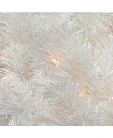 Northlight Pre-Lit Snow White Artificial Christmas Wreath - 24-Inch Clear Lights