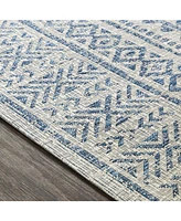 Livabliss Eagean Eag-2306 2'7" x 12' Area Rug