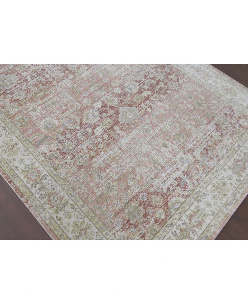 Amer Rugs Century Cen-8 Salmon 7'10" x 10'6" Area Rug