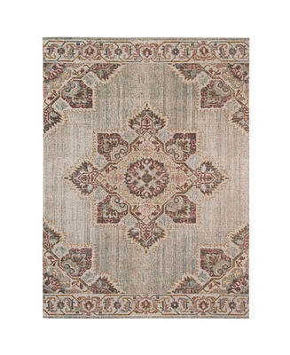 Amer Rugs Eternal Ete-20 Beige/Sand 7'6" x 9'6" Area Rug