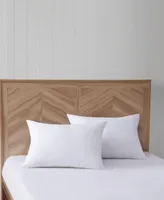 Truly Calm Antimicrobial Down Alternative 2 Pack Pillows