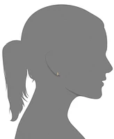 10k Gold Hoop Earrings