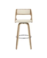 Cecina Mid-Century Modern Barstool with Swivel, Set of 2