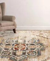 Allure Ara Area Rug