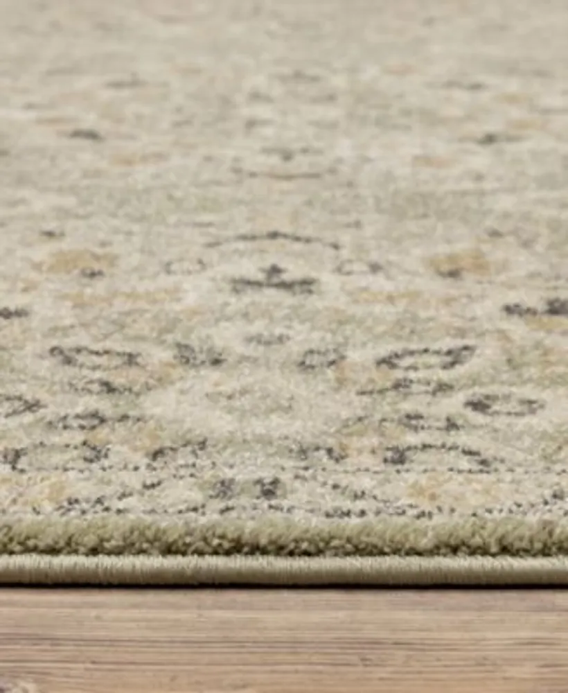 Oriental Weavers Florence 4334w Area Rugs