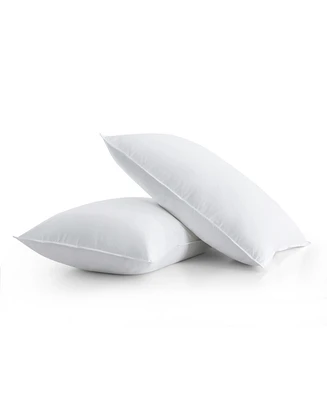 Unikome Down Fiber 2-Pack Pillows, Standard/Queen
