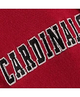 Big Boys Red Louisville Cardinals Logo Pullover Hoodie