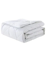 St. James Home Down Comforters