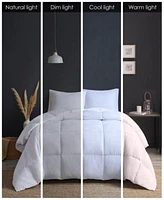 Madison Park Heavy Warmth Goose Feather Goose Down Filling Comforters