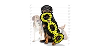 Tuffy Ultimate 3WayTug Yellow Bone, Dog Toy