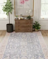 Closeout Bashian Select Washable Slt204 Area Rug