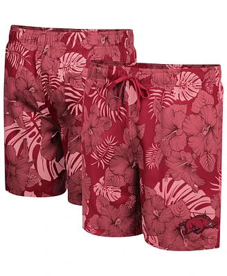 Men's Colosseum Cardinal Arkansas Razorbacks The Dude Swim Shorts
