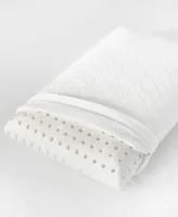 ProSleep Classic Support Conventional Memory Foam Pillow, Standard/Queen