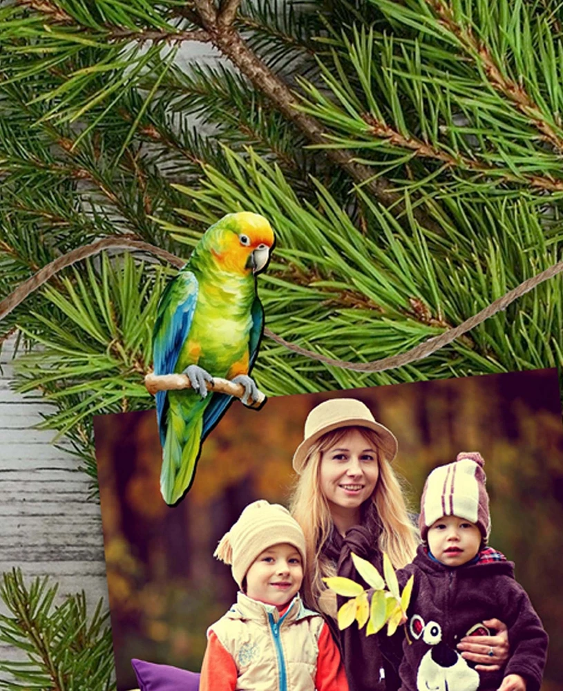 Designocracy Holiday Wooden Clip-On Ornaments Parrots Set of 6 G. DeBrekht