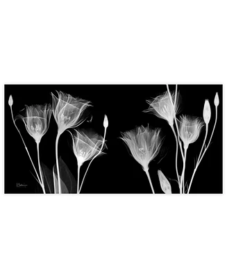 Empire Art Direct "Gentian X-Ray" Frameless Free Floating Tempered Glass Panel Graphic Wall Art, 24" x 48" x 0.2"
