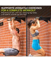 Wall Mount Pull-Up Bar