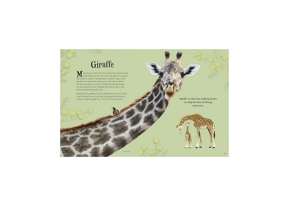 An Anthology of Intriguing Animals by Dk
