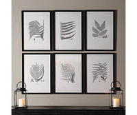 Framed Gray-Tone Fern Prints Set of 6