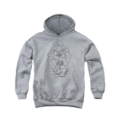 Looney Tunes Youth Faded Taz Pull Over Hoodie / Hooded Sweatshirt
