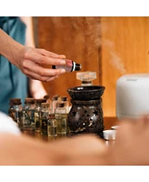Pursonic 6 Pack of Aromatherapy Essential Oils