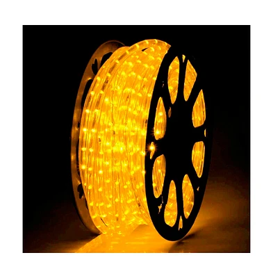 DELight 150FT Led Neon Rope Lights Warm White with Remote Control,IP65 Ac 110V Waterproof Dimmable Cuttable SMD3535 Led Lights Del-D150W