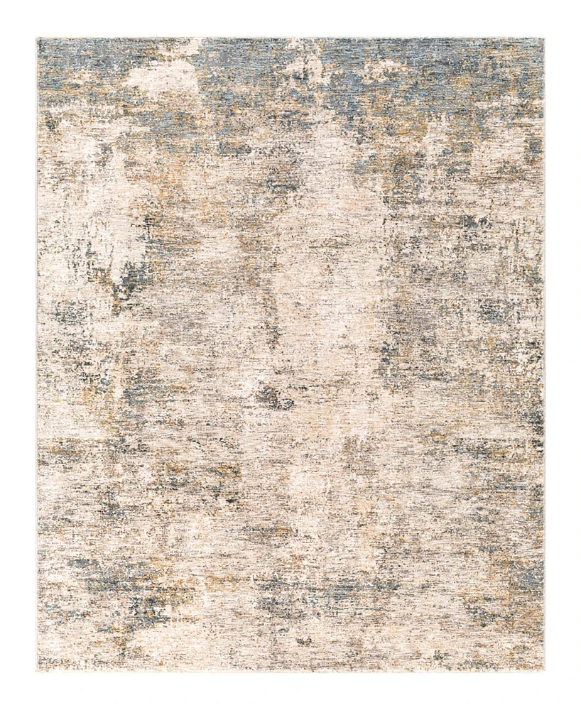 Livabliss Cardiff Cdf-2304 2'x3' Area Rug