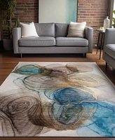 Addison Chantille Machine Washable ACN513 3'x5' Area Rug