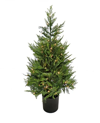 National Tree Company 3 ft. Pre-Lit Cypress Tree in Nursery Pot
