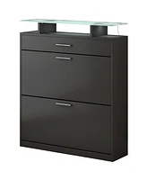 Slim Entryway Organizer with Shoe Storage and Led Light