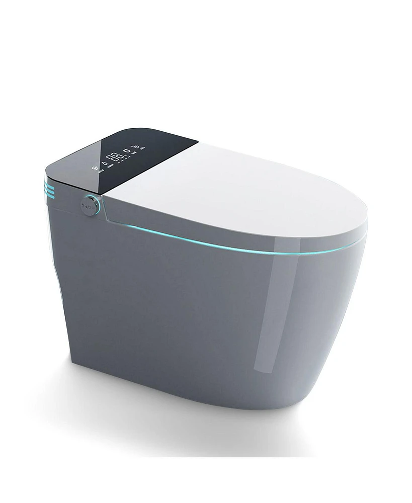 Modern Bidet Toilets with Advanced Features