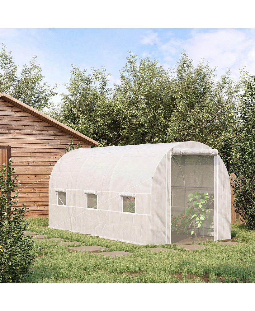 Spacious Walk-in Greenhouse for Year-Round Plant Cultivation