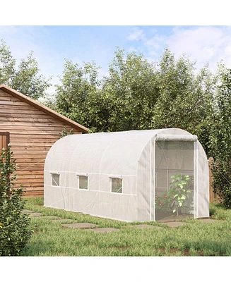 Spacious Walk-in Greenhouse for Year-Round Plant Cultivation