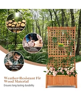 Raised Garden Bed with Trellis and Hanging Roof