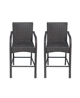 Cascada Outdoor Wicker Barstools (Set Of 2)