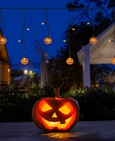 Northlight Lighted Pumpkin Curtain Icicle Lights - 5.25'