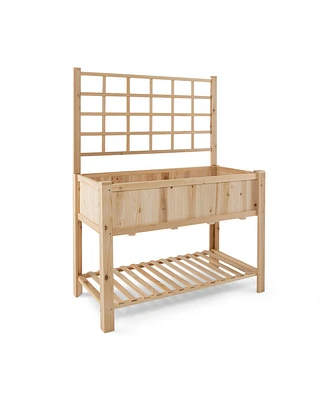 Raised Garden Bed Elevated Wooden Planter Box with Trellis