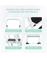 Flynama 3 Step Ladder Folding Step Stool , Lightweight Step Stools for Adults with Anti-Slip Pedal, Portable Steel Handrails Step Ladder Withstanding