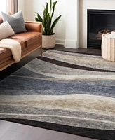 Addison Chantille Machine Washable ACN1098 9'x12' Area Rug