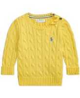 Polo Ralph Lauren Baby Boys Cotton Cable-Knit Sweater