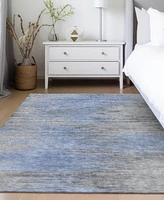 Addison Chantille Machine Washable ACN793 2'6''x3'10'' Area Rug