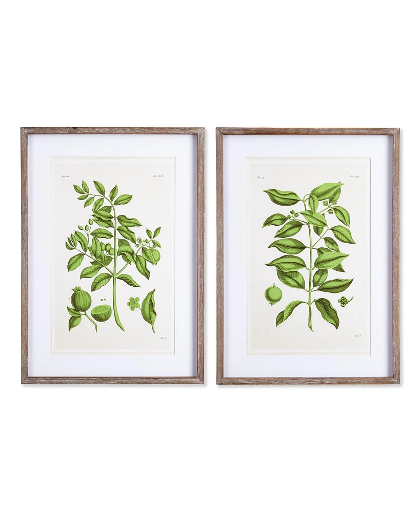 Guava Prints Set of 2