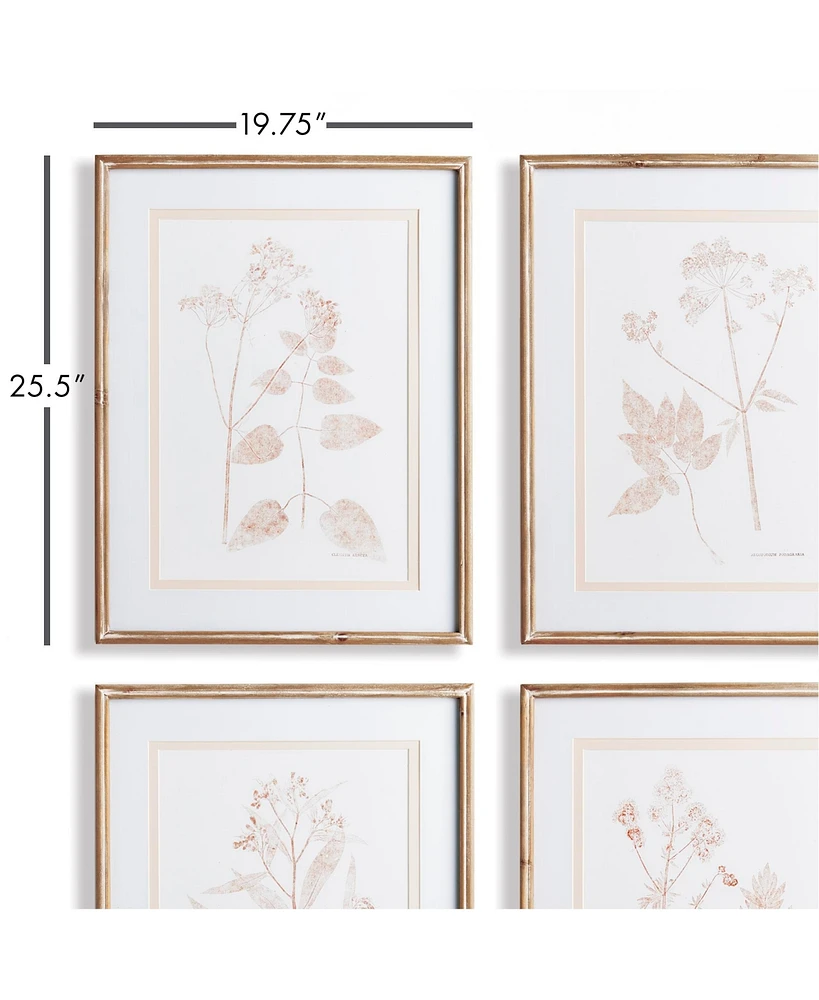 Blush Botanical Study Set of 4