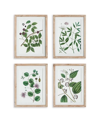 Verdant Branch Prints Set of 4