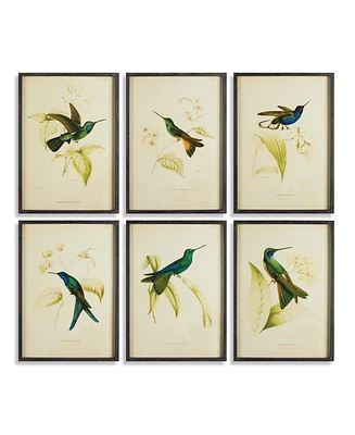 Hummingbird Prints Set of 6