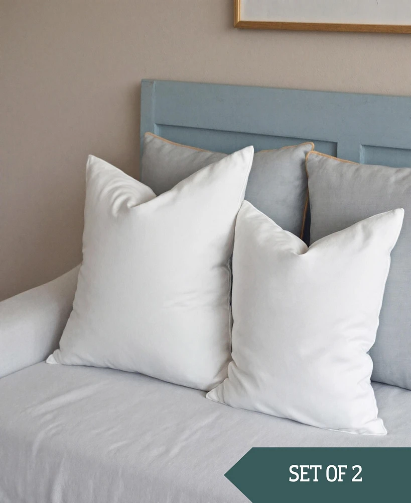 Square Pillow Insert